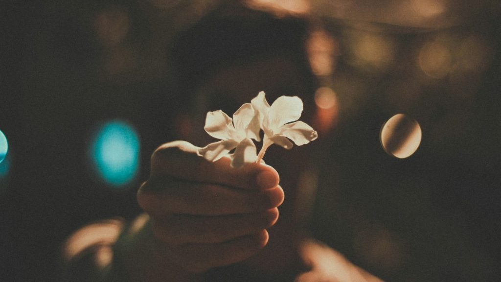 Mano che porge un fiore bianco in primo piano, simbolo di ascolto, delicatezza e presenza.
